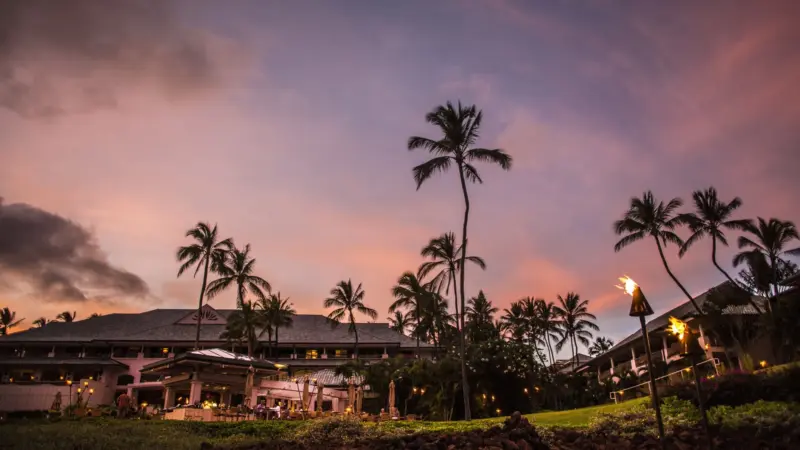 From Unpaid Bills to Owning Lānaʻi: The Astonishing Rise of Larry Ellison